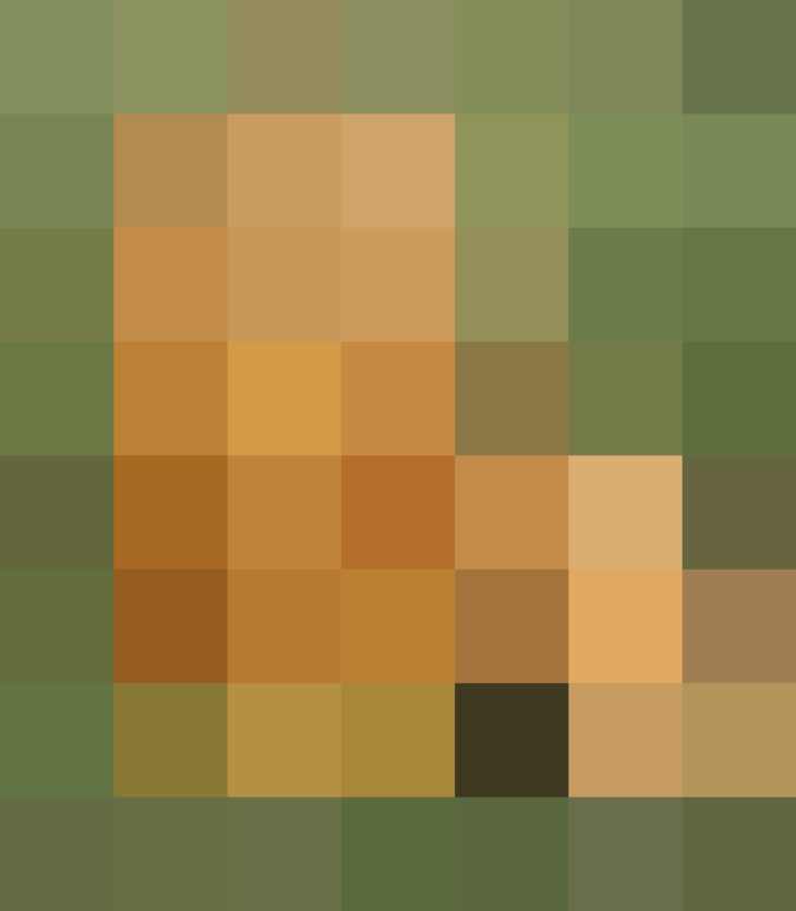 (placeholder)