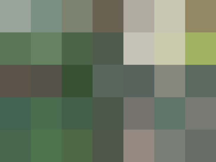 (placeholder)