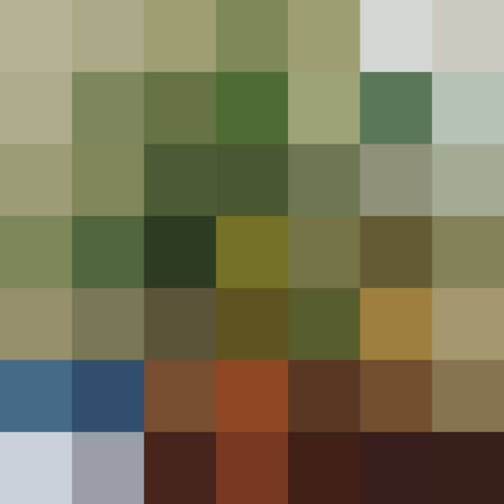 (placeholder)