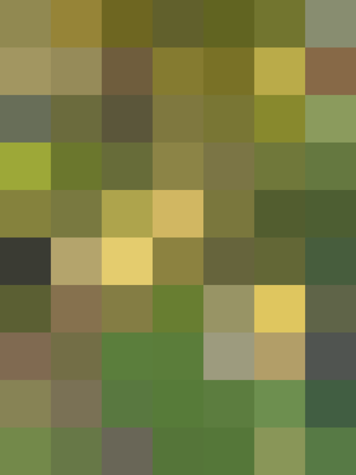 (placeholder)