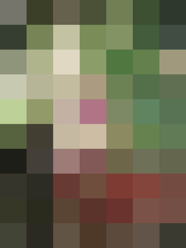 (placeholder)