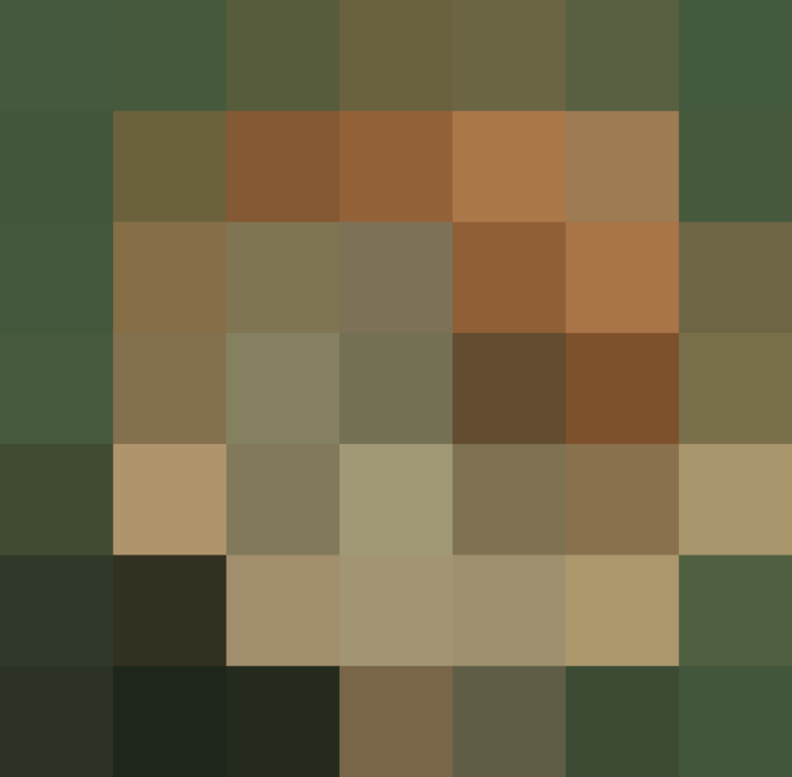 (placeholder)