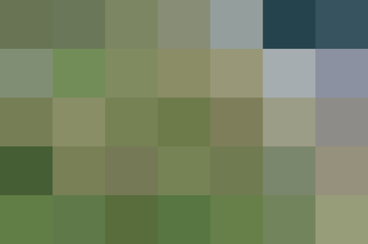 (placeholder)