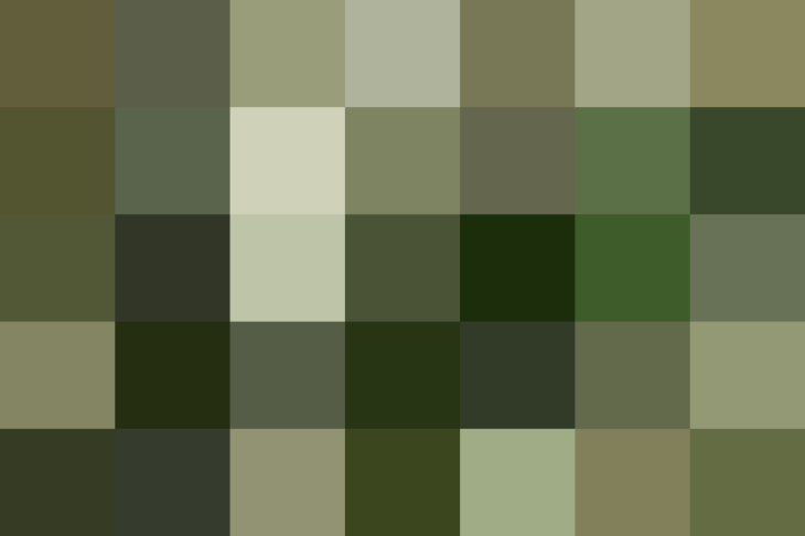 (placeholder)