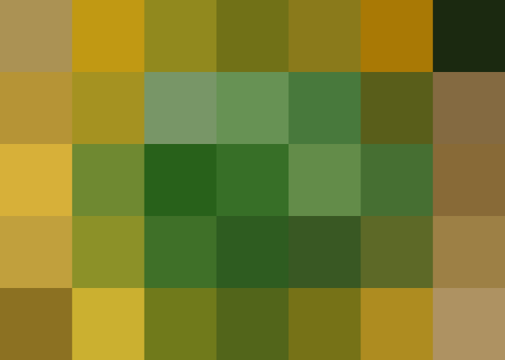 (placeholder)