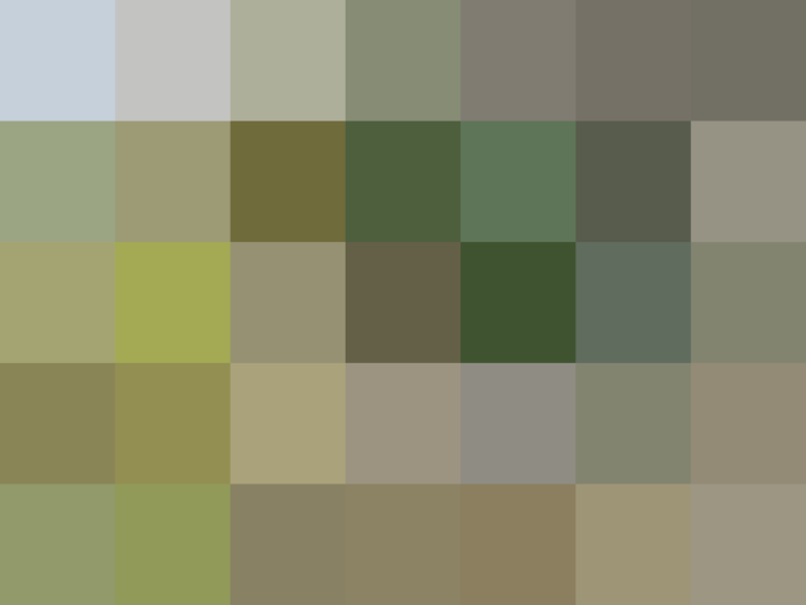 (placeholder)