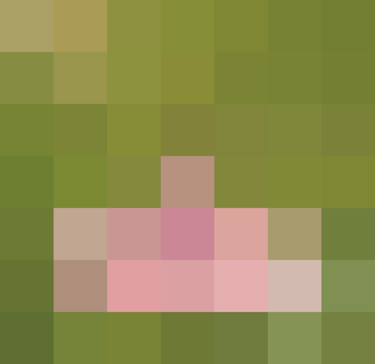 (placeholder)