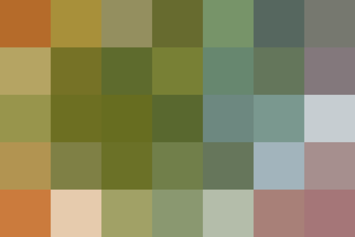 (placeholder)