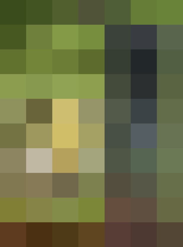 (placeholder)
