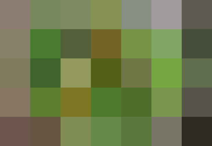 (placeholder)