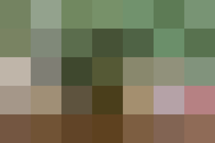 (placeholder)