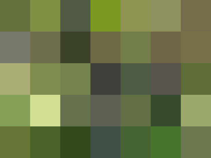 (placeholder)