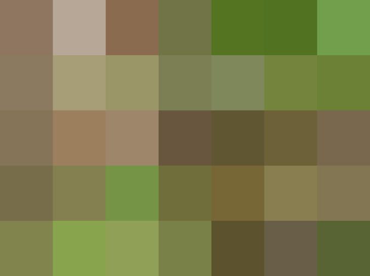 (placeholder)
