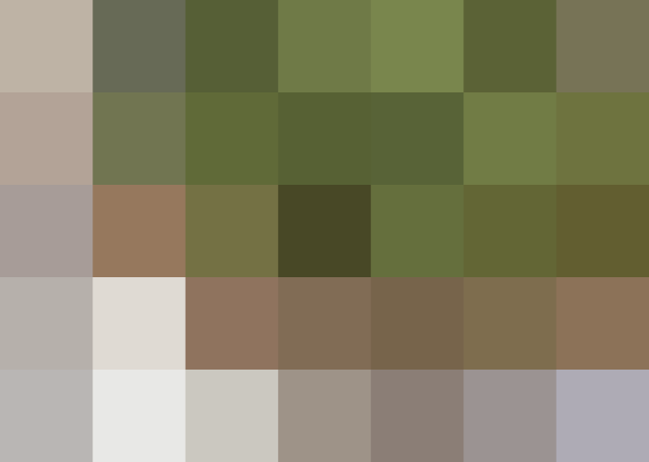 (placeholder)