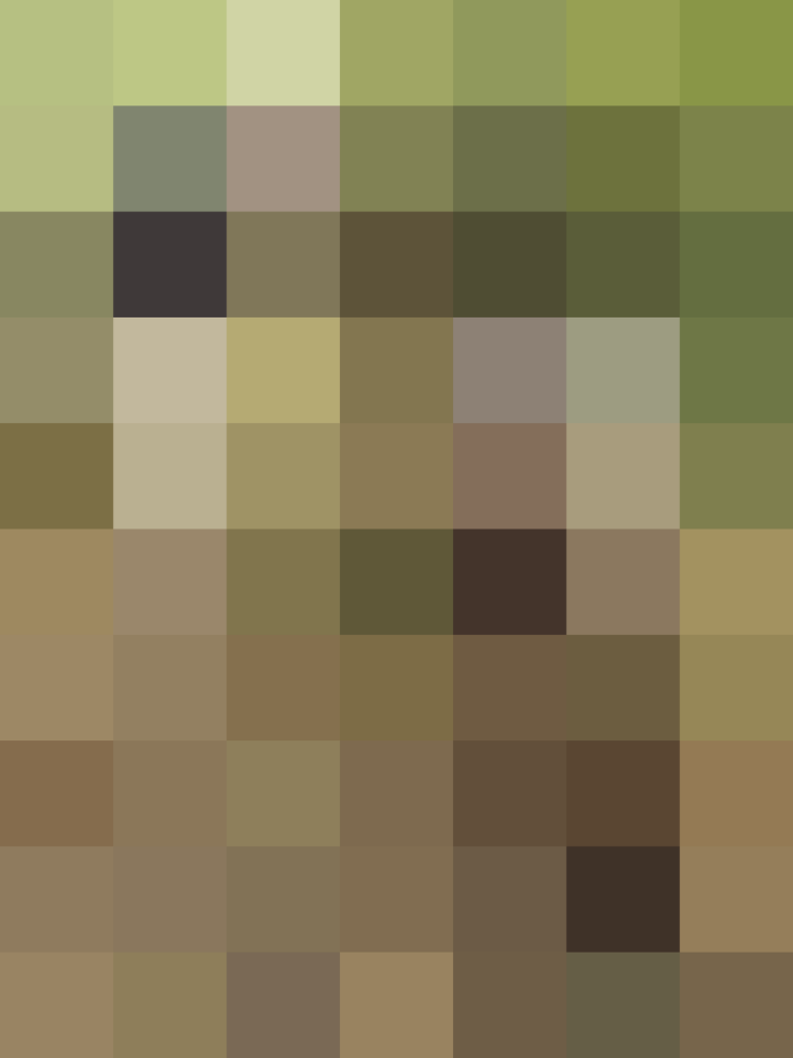 (placeholder)