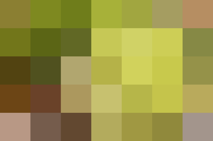 (placeholder)