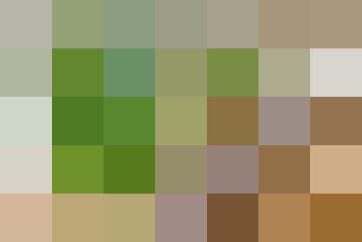 (placeholder)