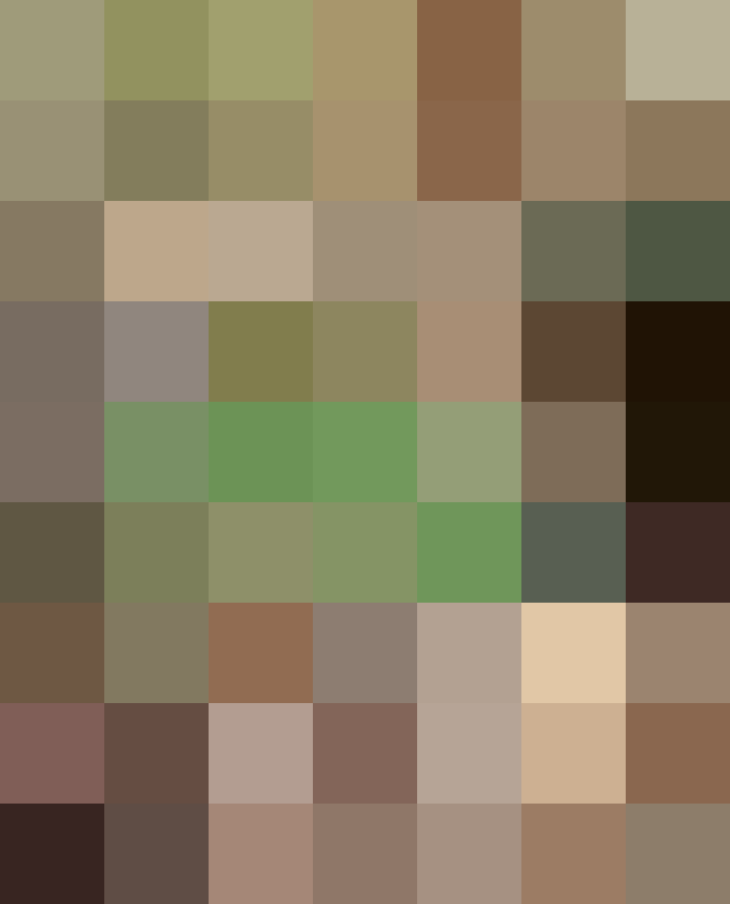 (placeholder)