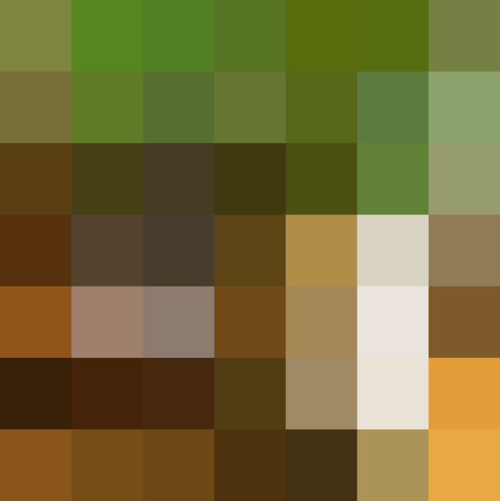 (placeholder)