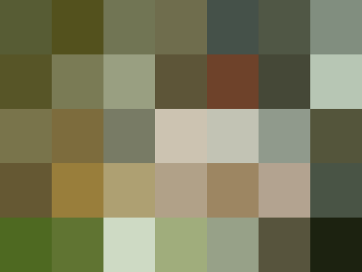 (placeholder)
