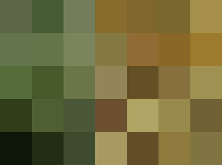(placeholder)