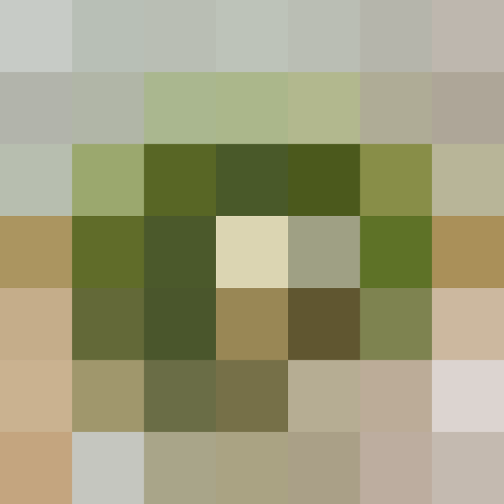 (placeholder)