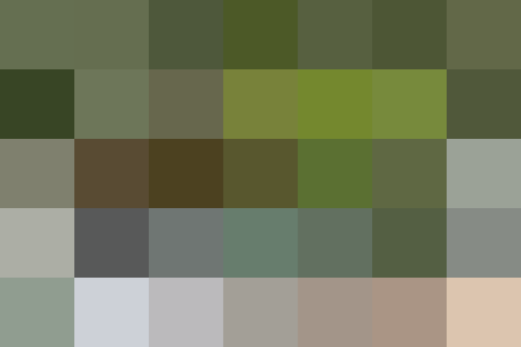 (placeholder)