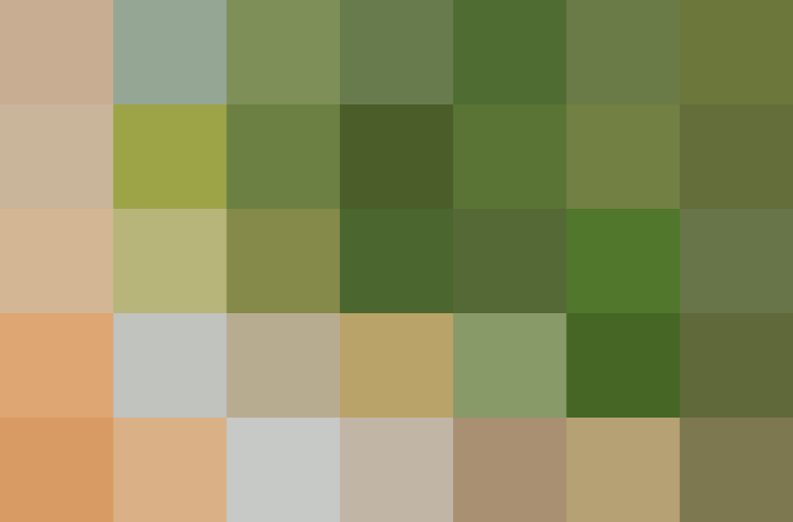 (placeholder)
