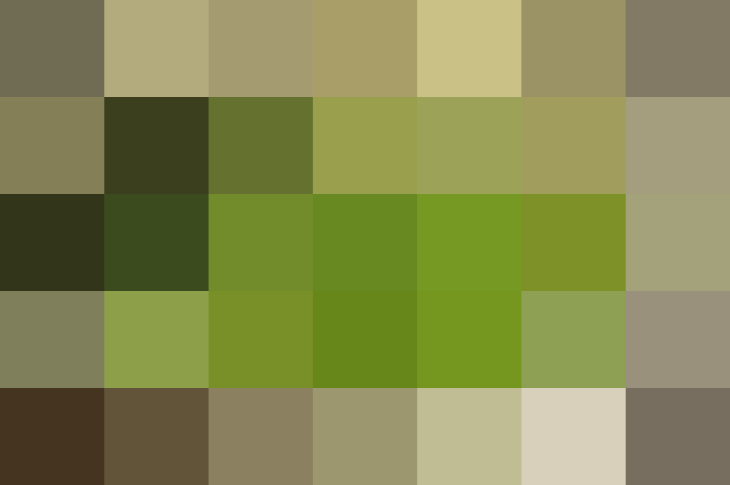 (placeholder)