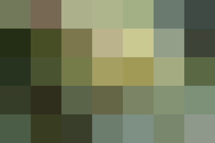 (placeholder)
