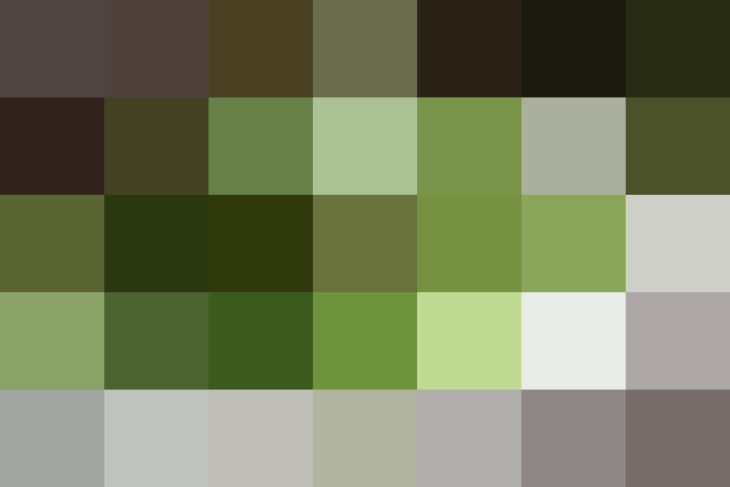 (placeholder)