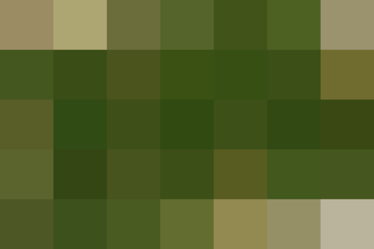 (placeholder)