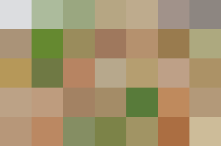 (placeholder)