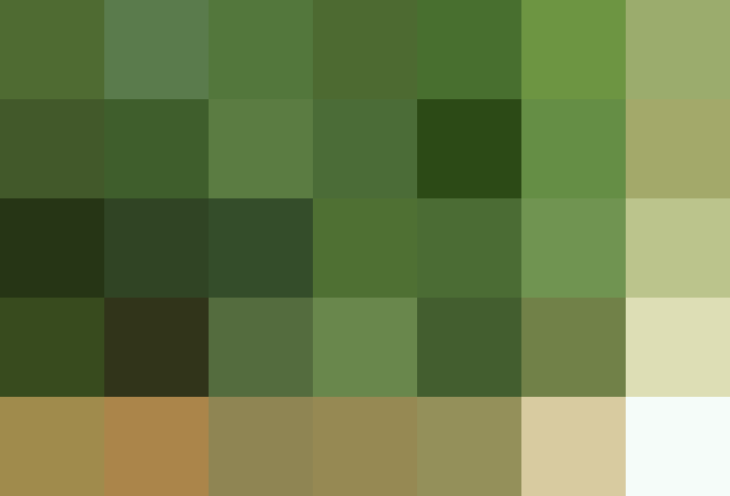 (placeholder)