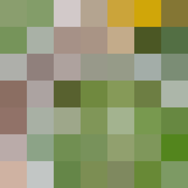 (placeholder)