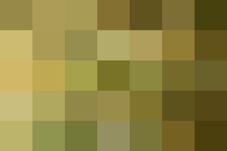 (placeholder)