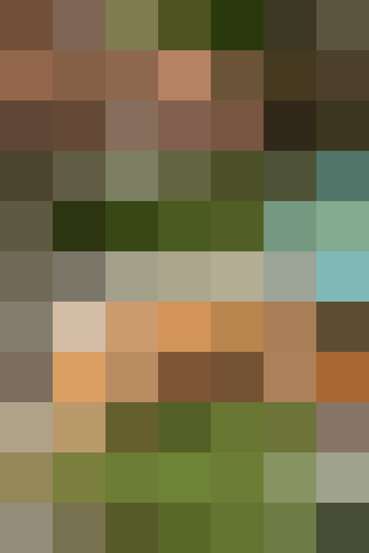 (placeholder)