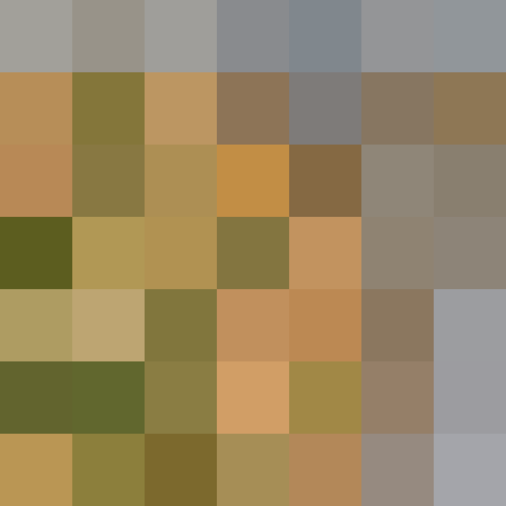 (placeholder)