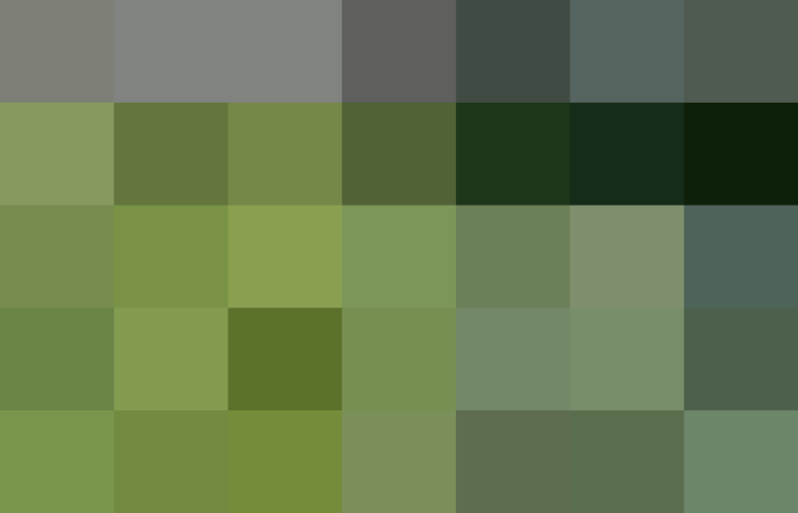 (placeholder)