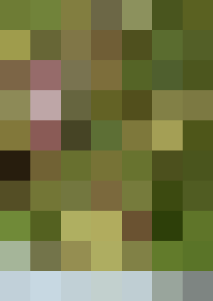 (placeholder)