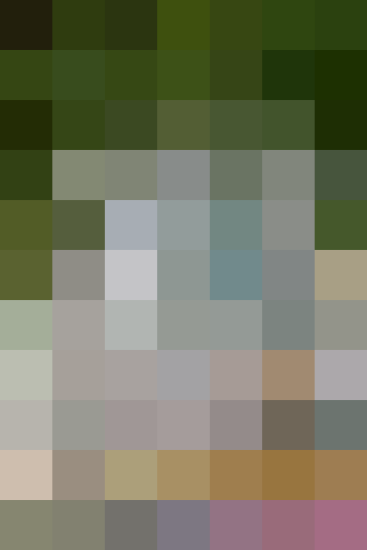 (placeholder)