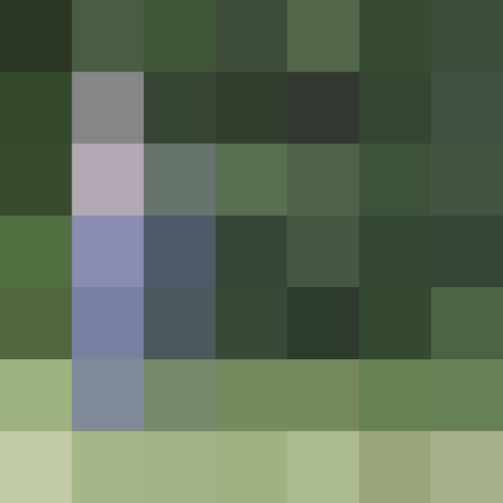 (placeholder)
