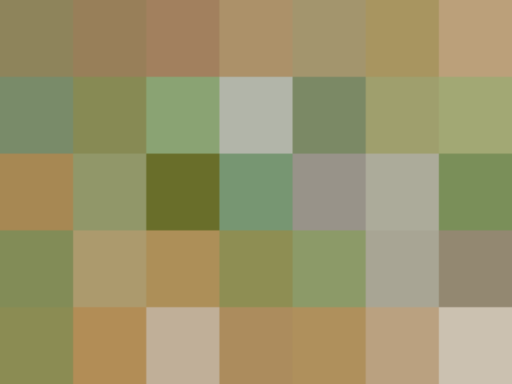 (placeholder)