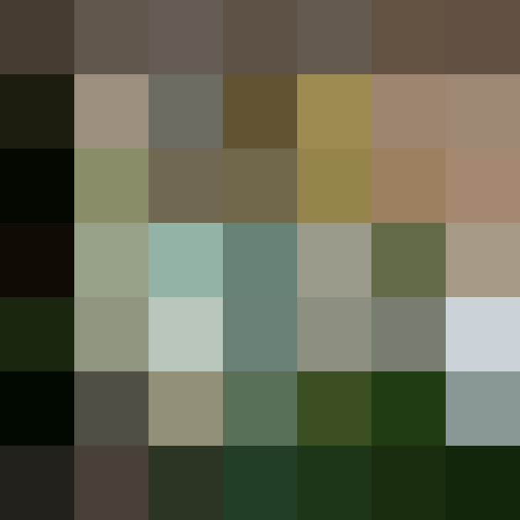 (placeholder)