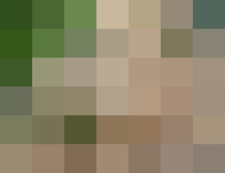 (placeholder)