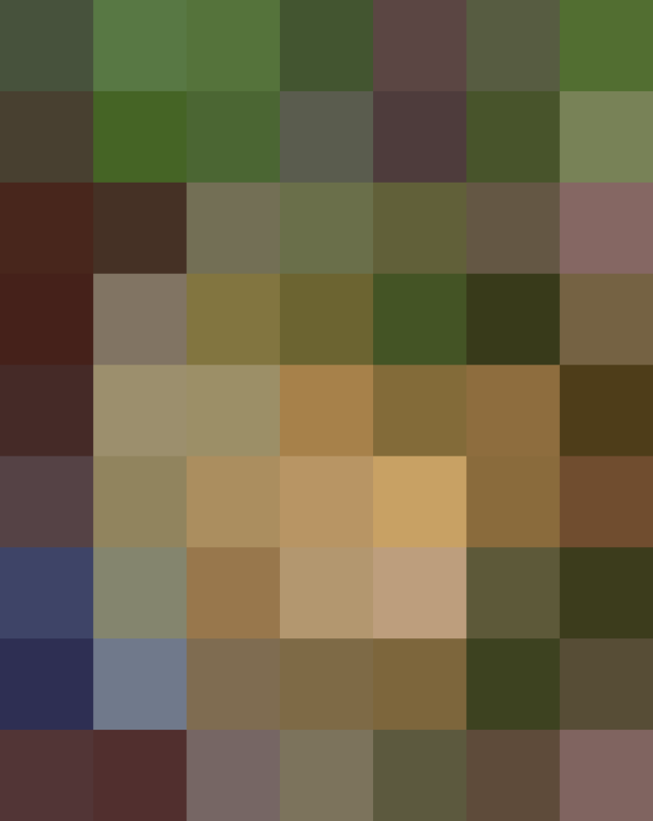 (placeholder)
