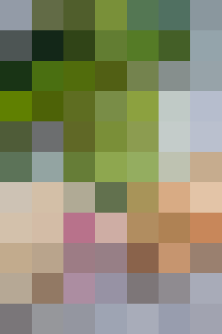 (placeholder)