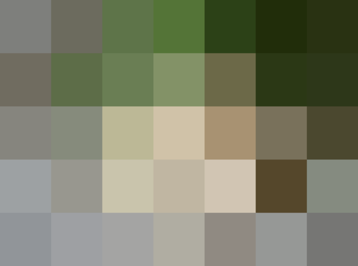 (placeholder)