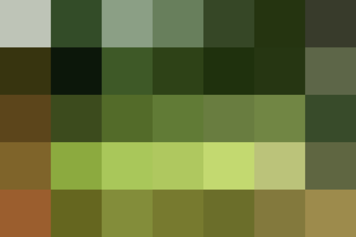 (placeholder)