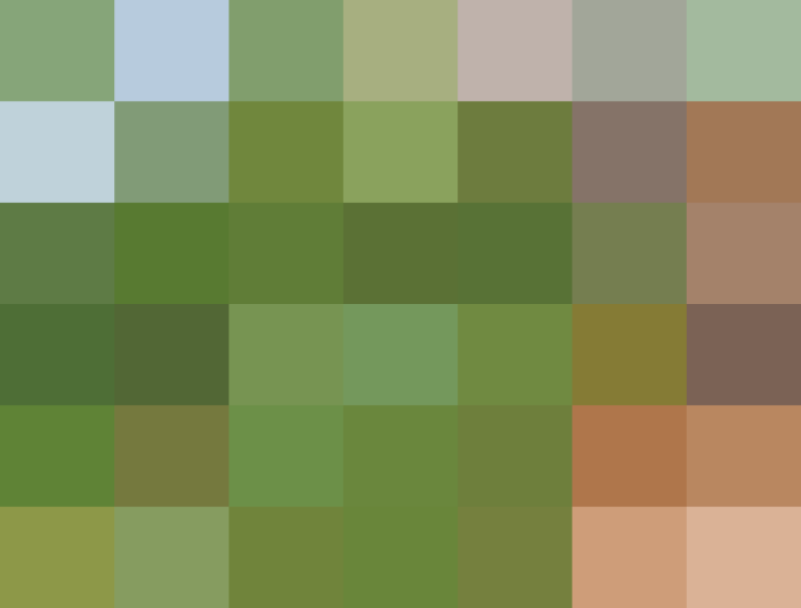 (placeholder)